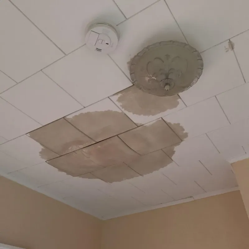 Ceiling Water Damage Repair in Wiggins, MS