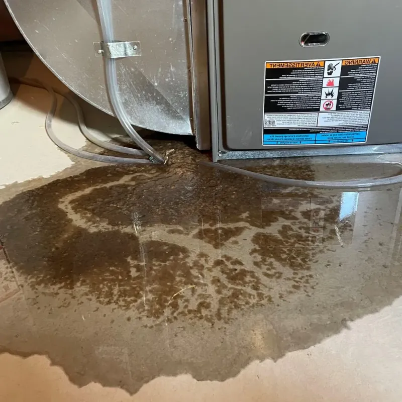 Pipe Burst and Leak Restoration in Wiggins, MS