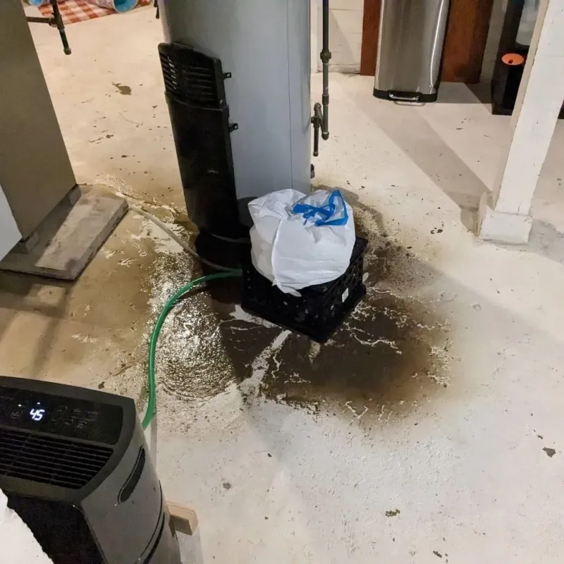 Sewage Backup Cleanup Service in Wiggins, MS